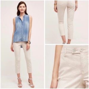 Pilcro and the Letterpress Skinny Ankle Pants 29